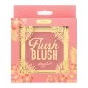 Amor US Flush Blush - Peach -Cosmetics Store 04 PeachPackage 540x d0a95cbd 70bb 4268 94d3 6d769f2f35e4