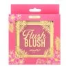 Amor US Flush Blush - Berry -Cosmetics Store 10 BerryPackage 540x 0d22762c 0dd1 4241 b5a0 8bf268cbf1ba