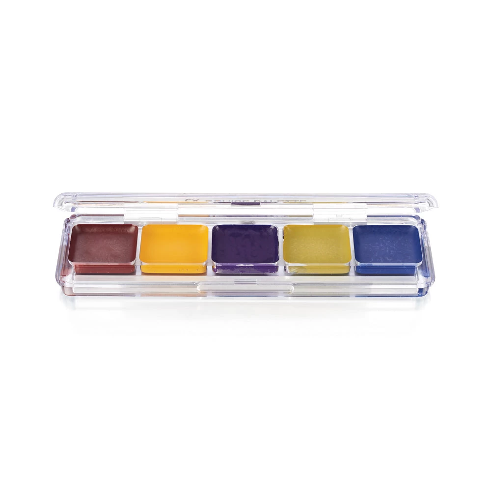 Ben Nye Alcohol Activated Waterproof Palette Bruise FX AAP-03 3 Ben Nye Alcohol Activated Waterproof Palette Bruise FX AAP-03