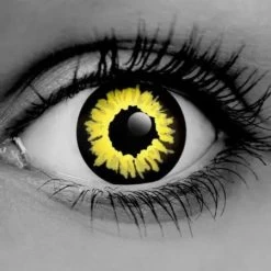 ILOCO Black Wolf Contacts