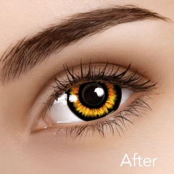 ILOCO Twilight Alice Contacts