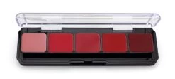 Graftobian Lipcolor Palette 5 Color - Cool - 30285