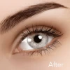 ISODA Spatax Gray Contacts