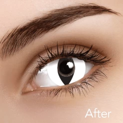 ILOCO White Cat Contacts